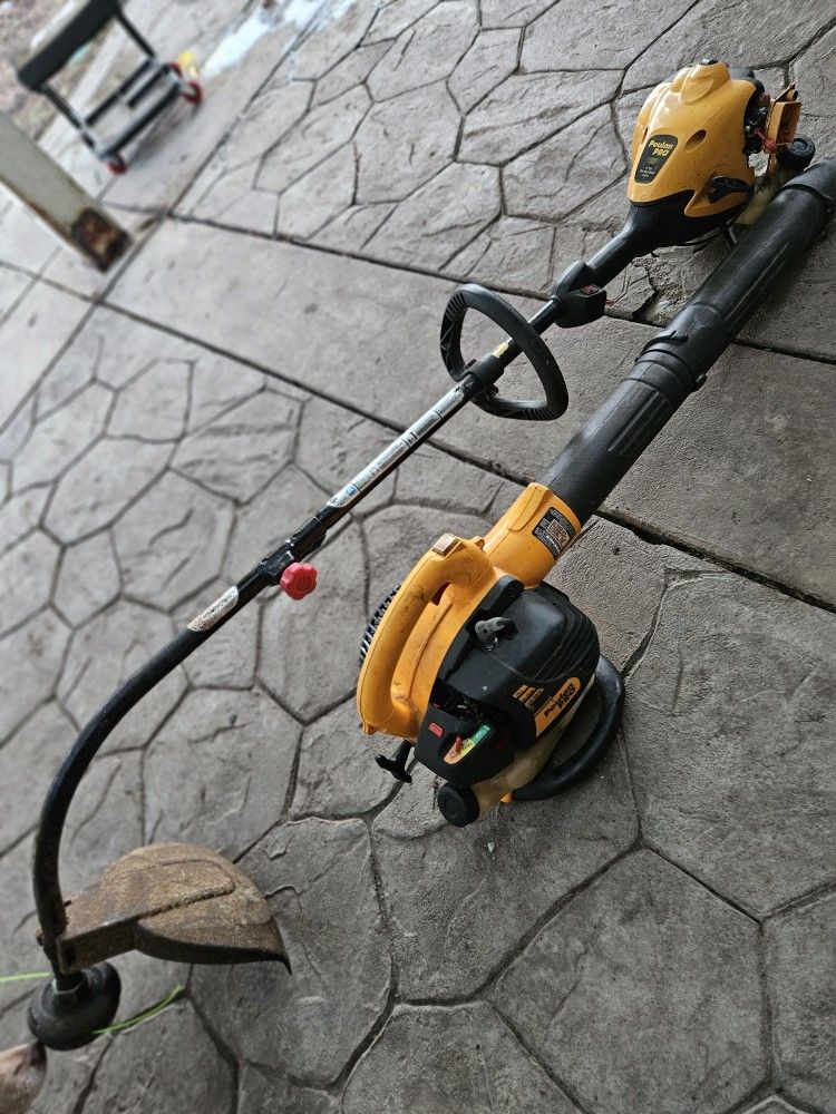 Gas Blower And Weed Eater 