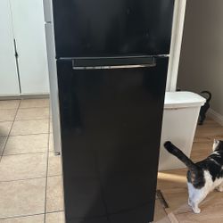 Mini Fridge 50’inch 