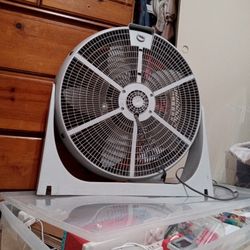 Fan