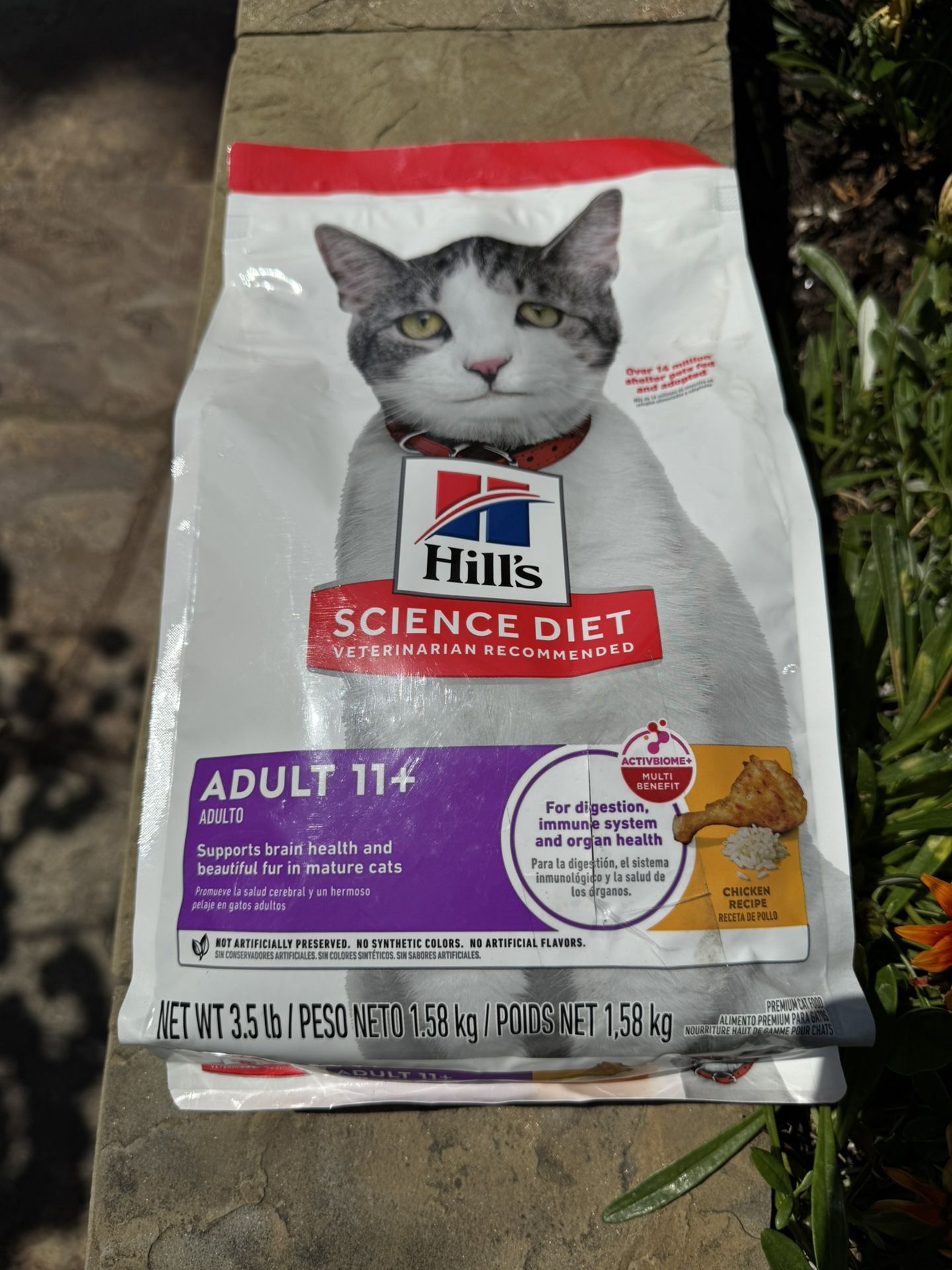 Hills Cat Food