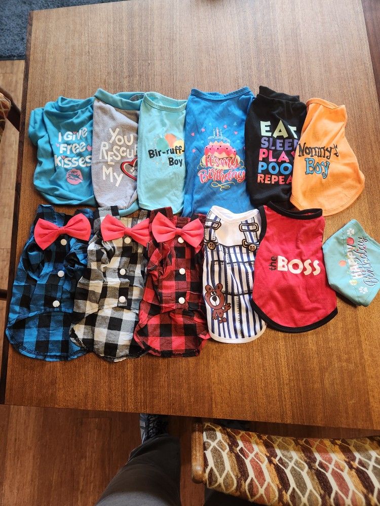 boy dog clothes-size small