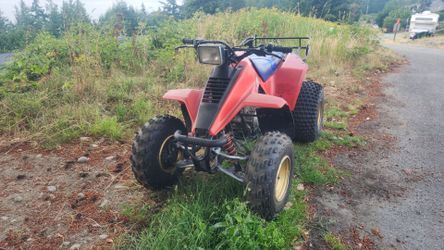 1986 suzuki quadsport 230