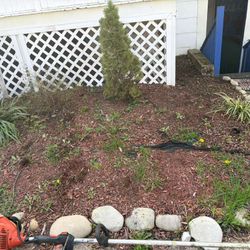 Grass And Mulch 