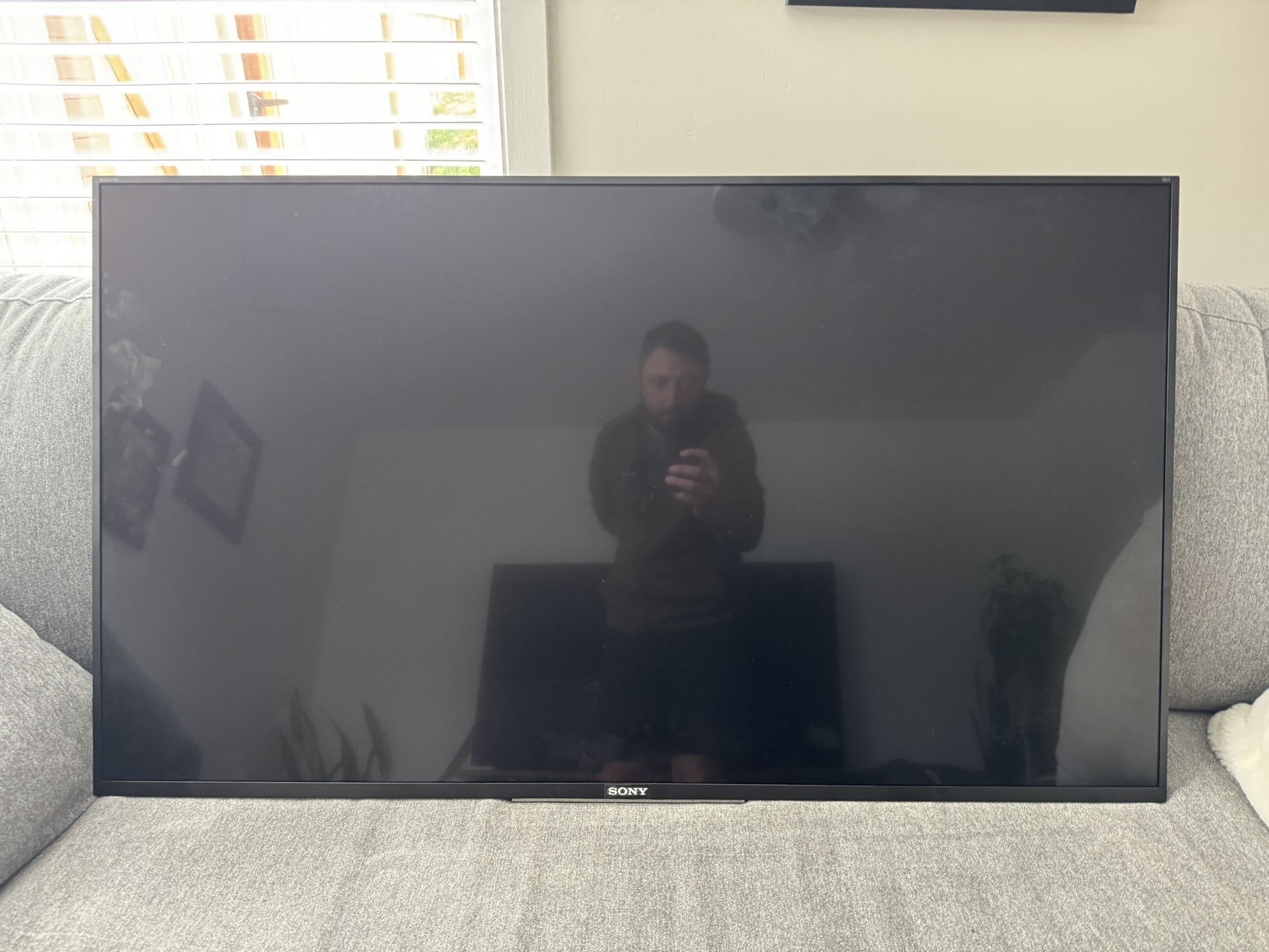 Sony 49” 4K TV (Model XBR-49X800D)