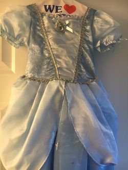 Cinderella Costume