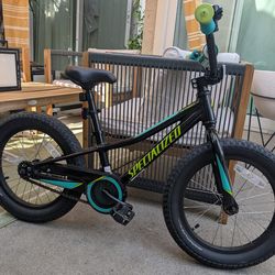 Specialized Riprock Coaster 16" Kids bike