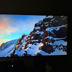 LG 49” TV