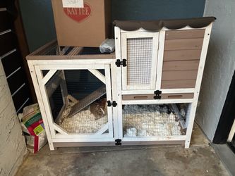 Guinea Pigs and Cage