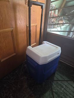 Igloo 16 quart cooler