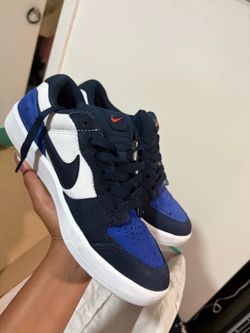 Nike SB force