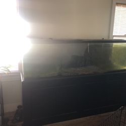 150 Gallon Fish Tank