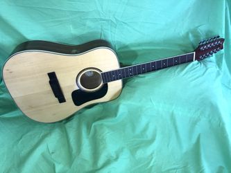 12 String Washburn D10S -12 Natural