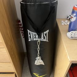 Everlast Punching Bag – Great Condition 