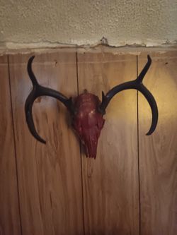 Metal Deers & Buck. Antlers 