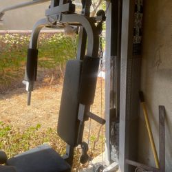 Free Exercise