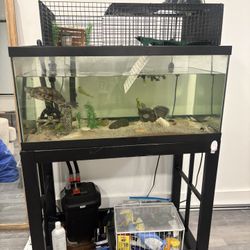 Fish Tank And Stand 