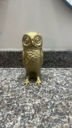Golden Colored Owl 
