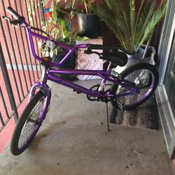Genesis Bike Purple Chrome