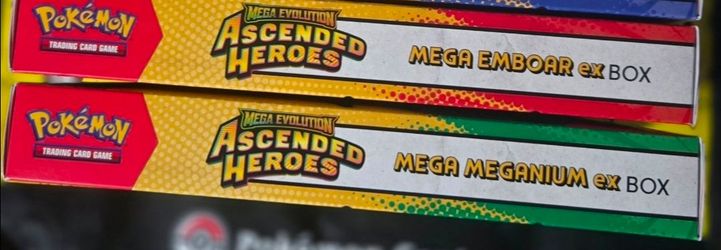 Pokemon TCG Mega Evolution Ascended Heroes ex Box Set Meganium Embroar