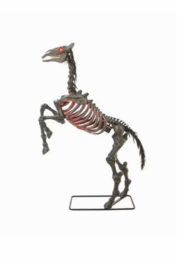 8.5FT Grave & Bones LED Undead Horse Halloween Skeleton Yard Decor New Box