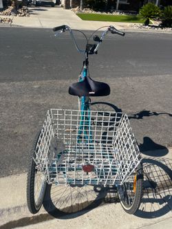 Adult Trike