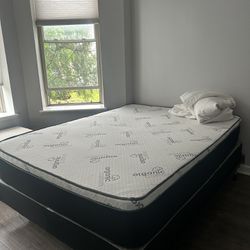 queen bed + box spring