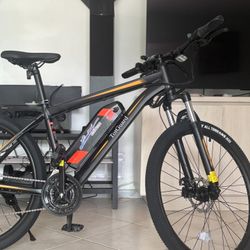 Bicicleta Eléctrica 