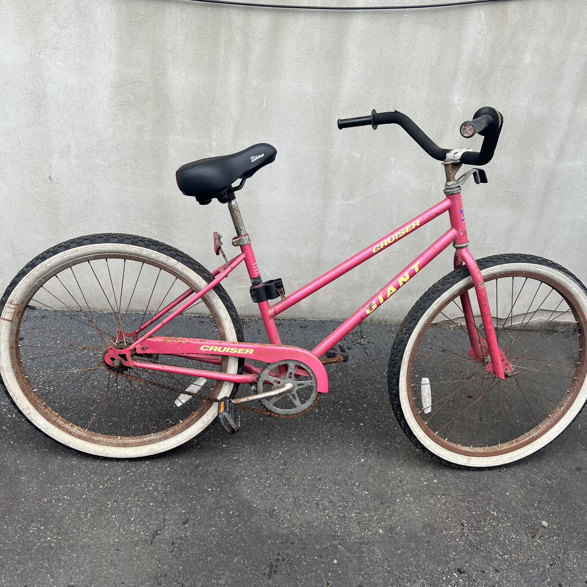 Giant Cruiser Bike