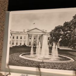 White House 8x10 Photo