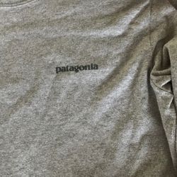 Patagonia Shirt 