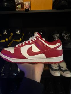 Jordan Dunks 9.5