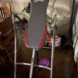 Champ Inversion Table, Pull up bar, and Ultra Glide XL Total Gym