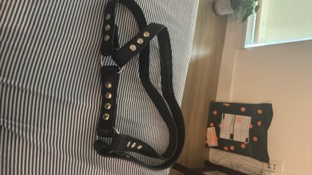 Leather harness