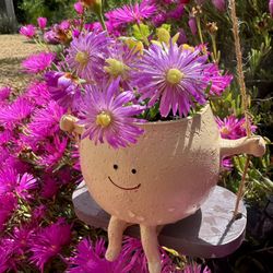 🌸 🌸 Swing Person Planter ~ w Blooming Succulents 