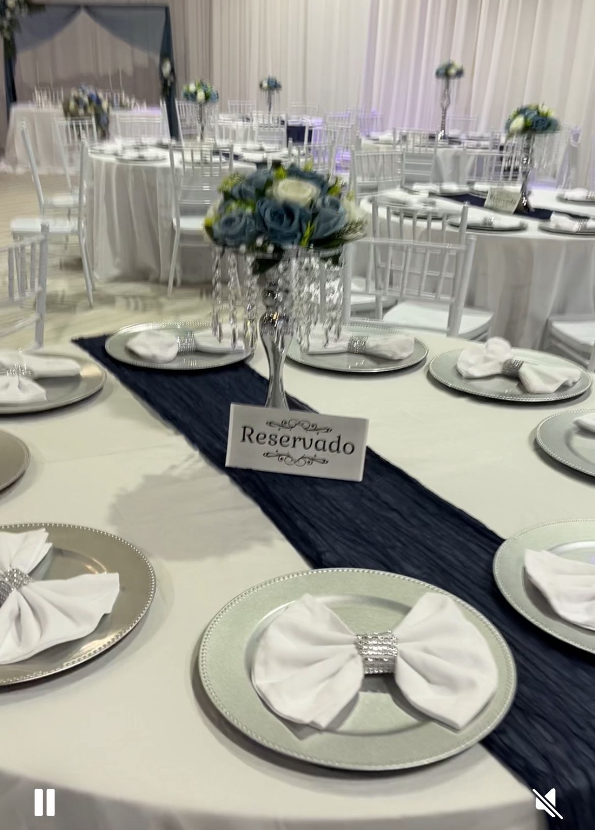 Weeding Dusty Blue Flower,vase,Silver Plates ,table runner,napkins Fabric,back Decoration Etc