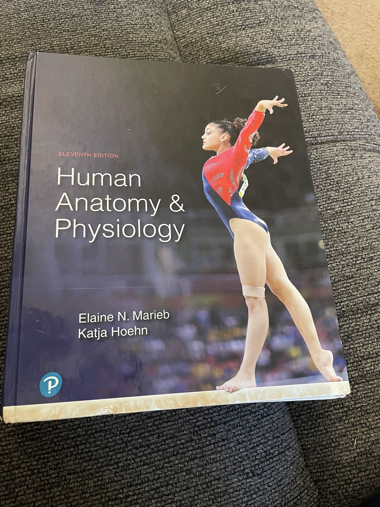 Human Anatomy & Physiology