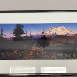Framed 8x16 PNW Photograph