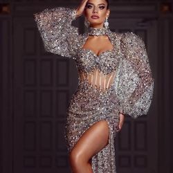 Beautiful Silver Sequins Mermaid High Neck Puffy Long Sleeve Dress