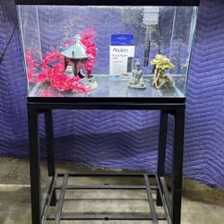 Aquarium For Sale 
