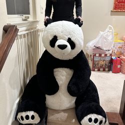 Giant Panda Bear