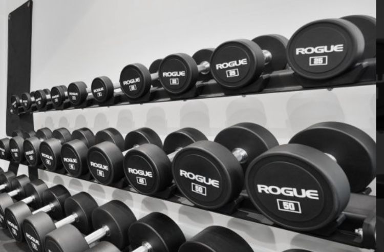 Rogue Fitness Urethane Dumbbells Complete 5-50 Lb Set - Retails for Over $2,000