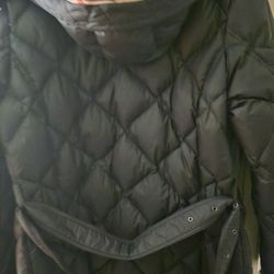 Burberry Puffy Jacket New No Tags 