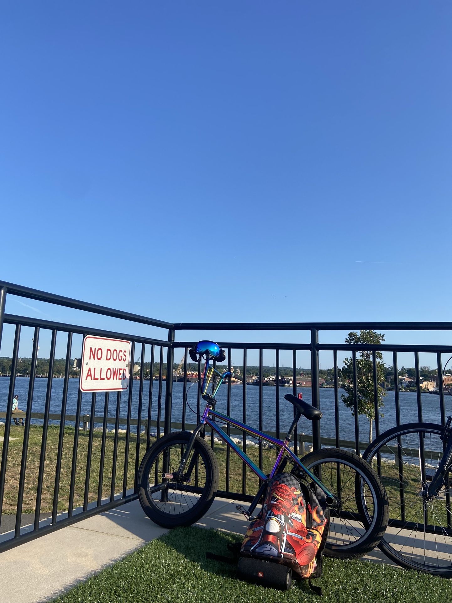 Elite Bmx