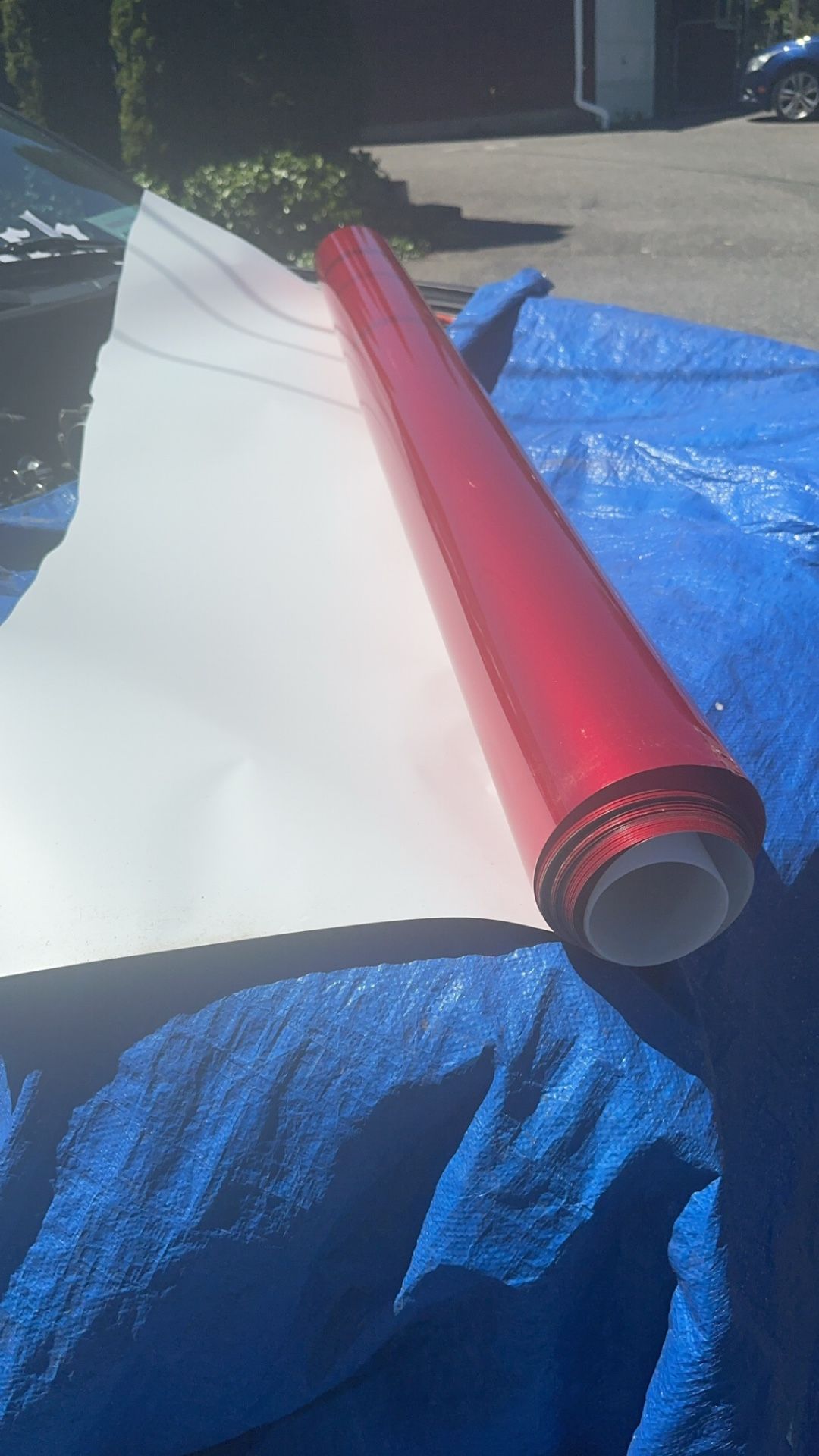 Candy Gloss Red Wrap