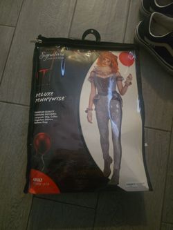Womens costume penny wise