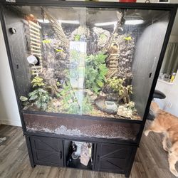 230 Gallon Tank