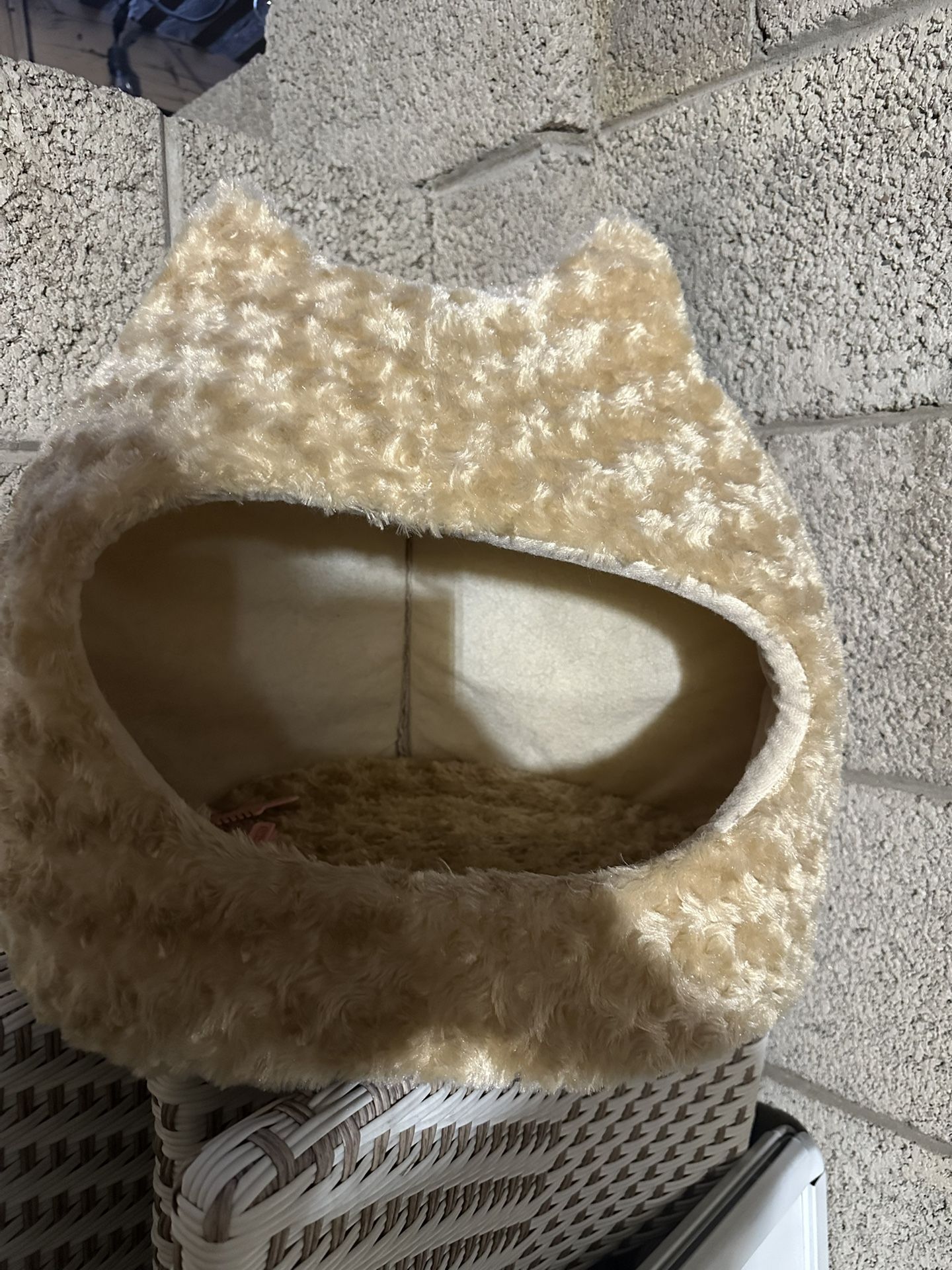 Cat Bed