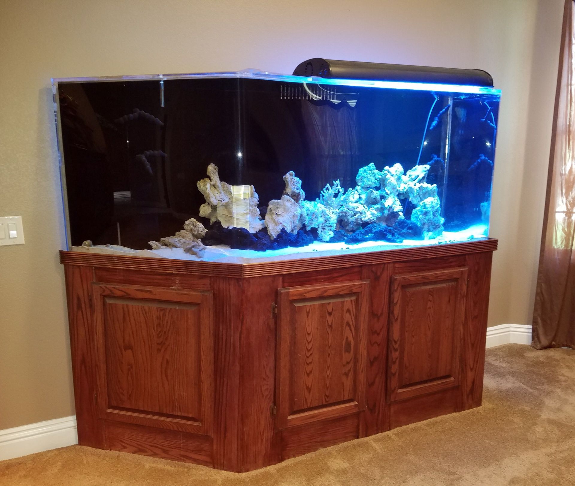 150 Gallon Custom Tenecor Aquarium with Stand & Lights