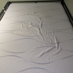 Serta Perfect Sleeper Elite