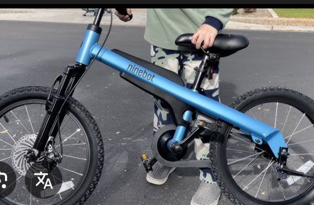 Segway Ninebot Kids 18 Inch Bike